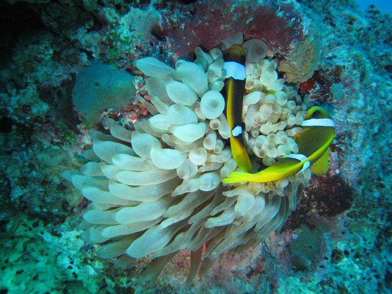 2009-12-01 14-45-47S.JPG